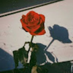 Meet your Posher, Tamia